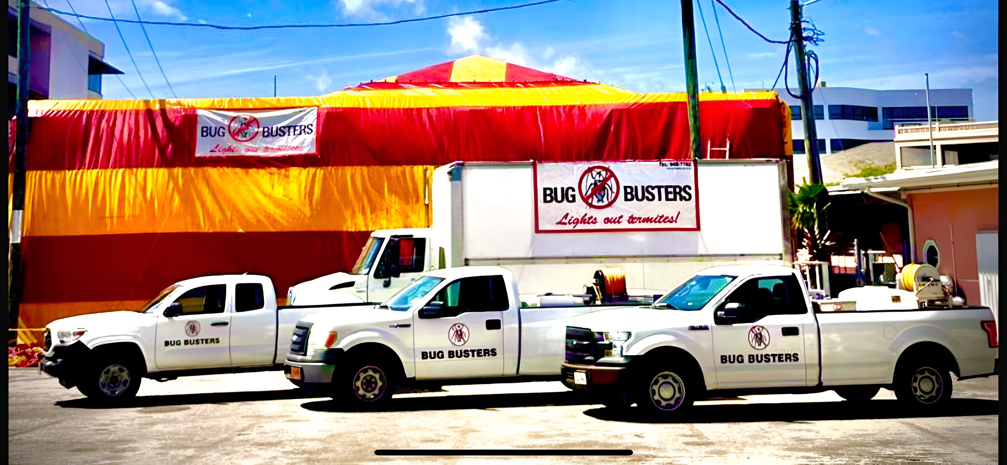 Bug Buster - Pest Control - Exterminators Management Company in Grand Cayman